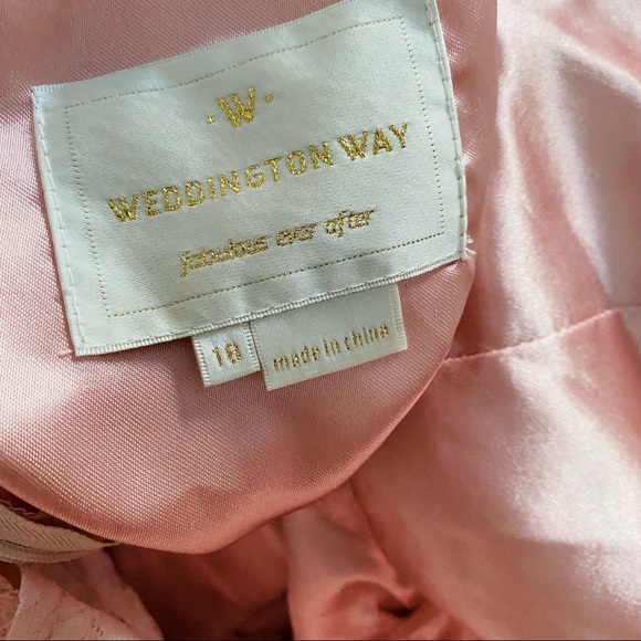 WEDDINGTON WAY by Adrianna Papell Mila Rose Blushing Rose Dress Sz 18 - Picture 16 of 16